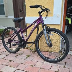 Schwinn Sidewinder 24" Mountain Bike - Excellent Condition!