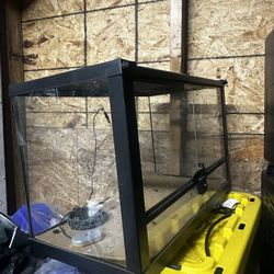 10 Gallon Lizard Tank 