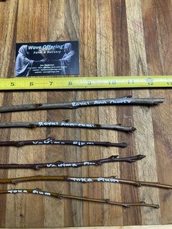 Fresh Fruit Tree Cuttings/scion Wood Apple,Pear,Asian Pear,Plum,Peach,Almond,Fig And More $5+