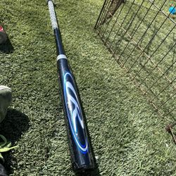 Bat 