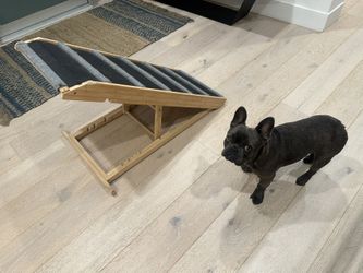 Dog Ramp, Adjustable