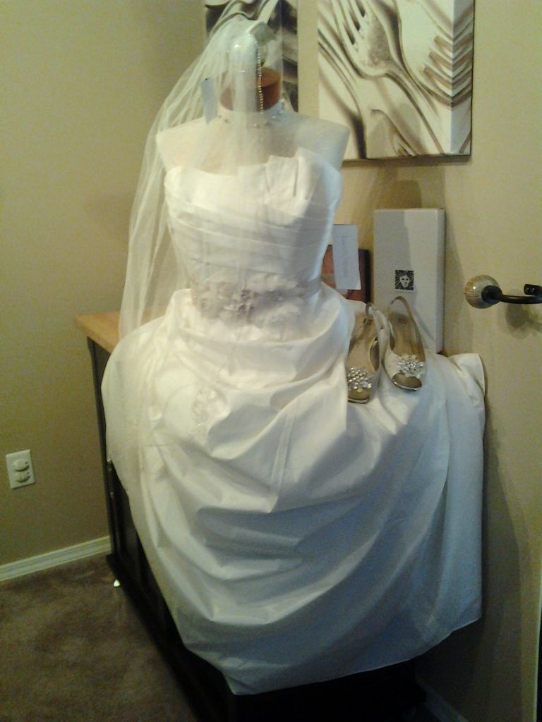 Brand new Ivory Wedding Dress - David's Bridal