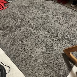 Gray Rug