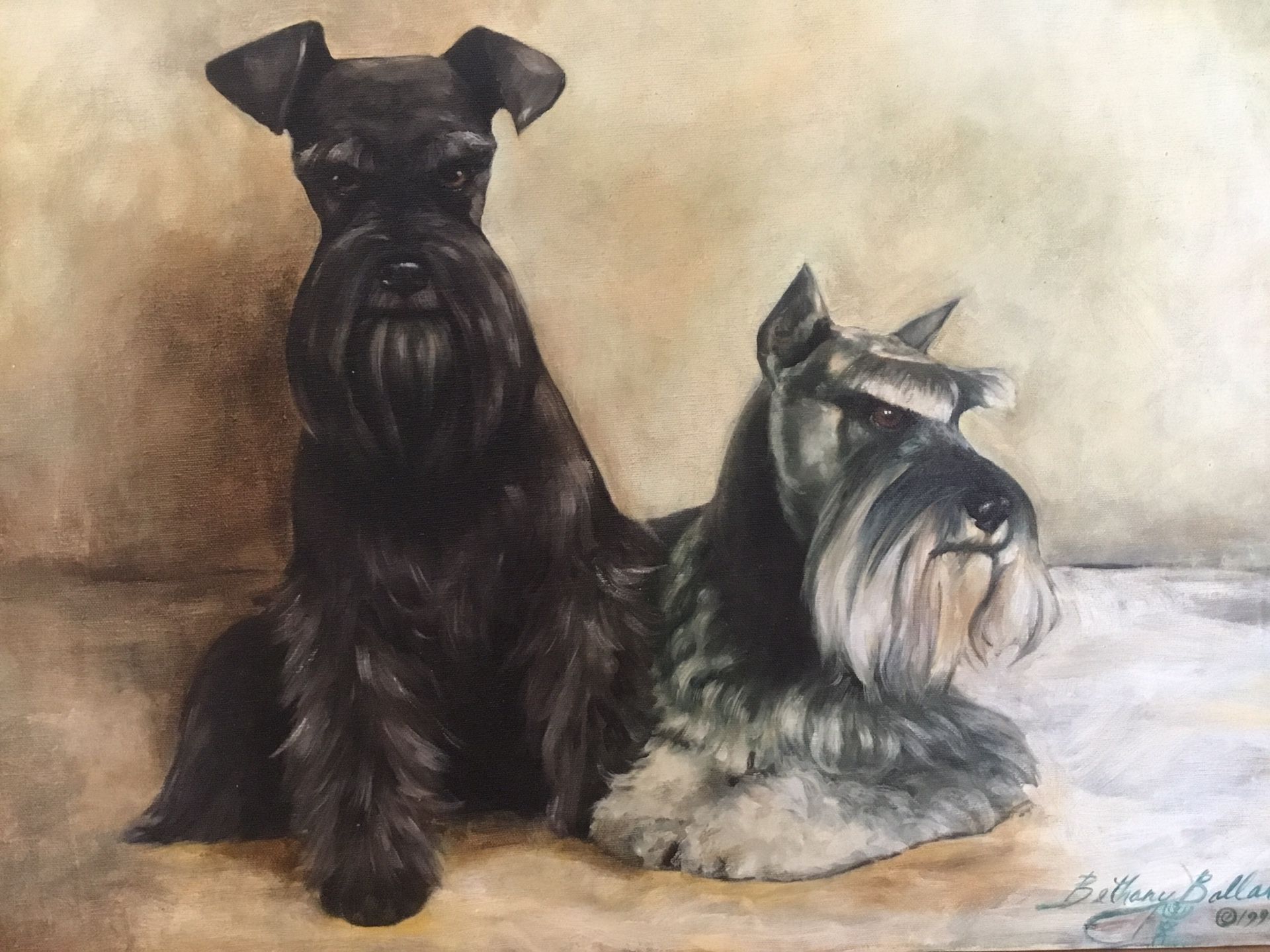 Schnauzers
