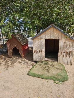Free dog houses