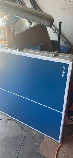 portable ping pong