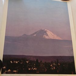 Tahoma limited edition 8/500 print by Karin Helmich 18.5x22.5" in VG condition