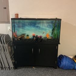 75 Gallon Fish Tank With Stand And Filtration System