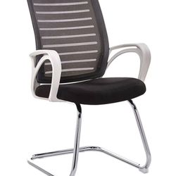 2 Pack Ergonomic Office Chair 