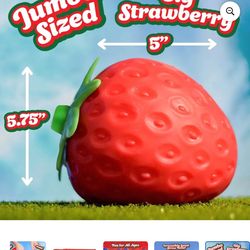 Big sunny day strawberry squeeze squishy