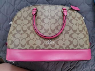 Coach arm bag