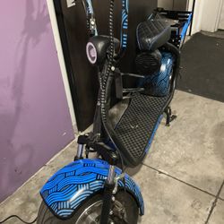 E-Bike W/ Copper Light Up Paint Throughout! Dog Not Included***