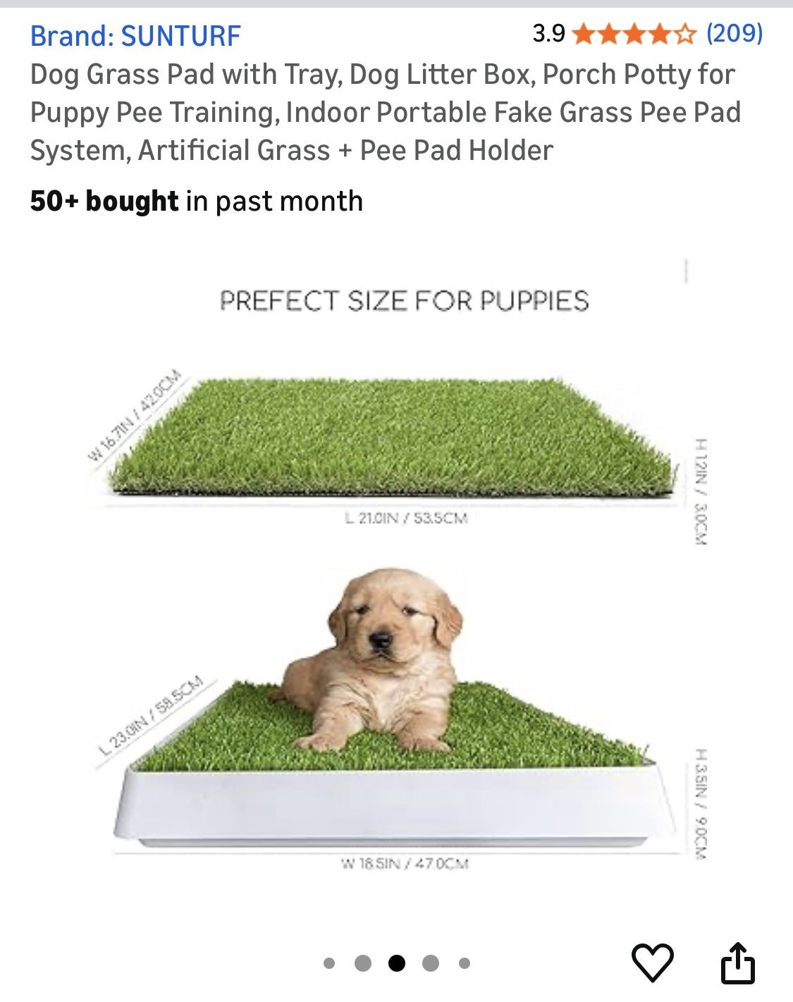 Dog Potty Mat