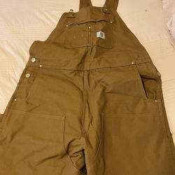 Carthartt overalls