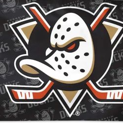 Anaheim Ducks Hockey Flag 5ftx3ft $20 Firm On Price