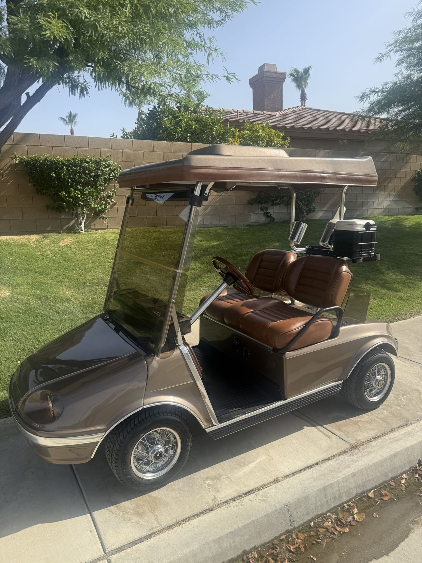 Club Car Golf Cart with High-speed Motor (25 mph)