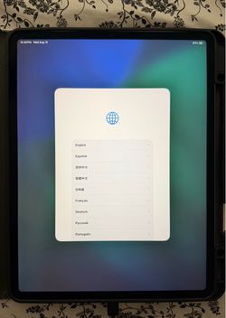 iPad Pro 12.9-inch 4th generation 256GB WiFi and cellular (unlocked)