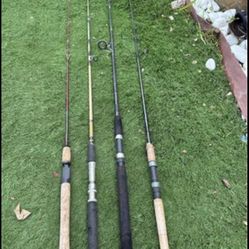Fishing pole 