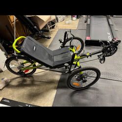 Custom Built CatTrike villager