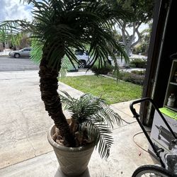 Artificial Palm Trees