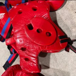 Karate Protective Gear