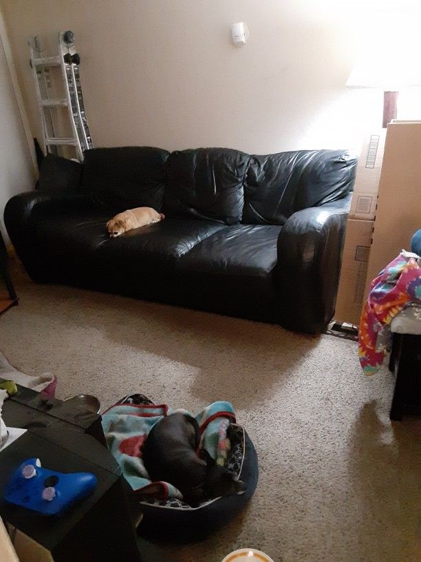 Black Leather Couch