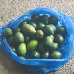 Plastic Limes 