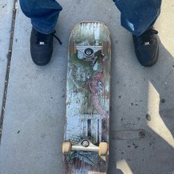 Skate Board 