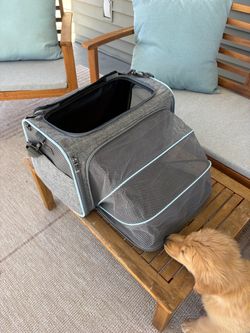 Pet Carrier for Air Travel