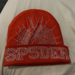 Spider Beanie 