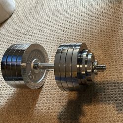 TITAN Chrome Dumbbell 95lbs