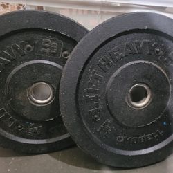 bumper Weights 10lbs 