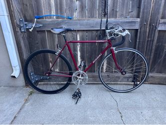 Nishiki Custom Sport Fixed Gear