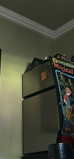 Magic chef mini fridge