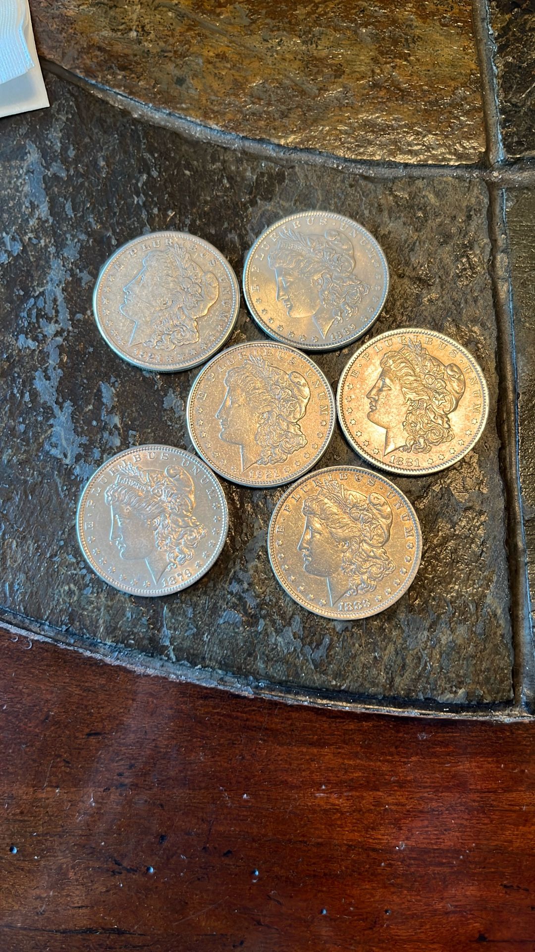 6- Silver Morgan Dollars- EXCELLENT GRADES LQQK! Very Cheap!