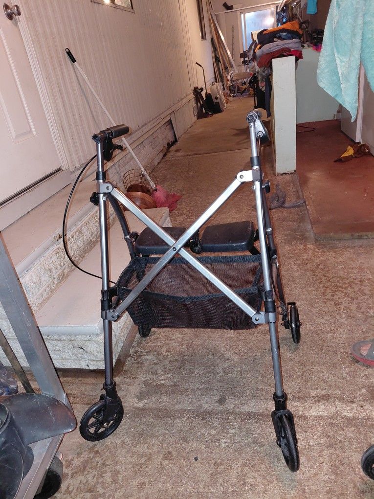 Mobility Walker 