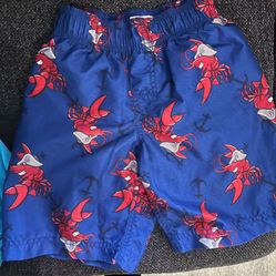 Boys Swimming Trunks