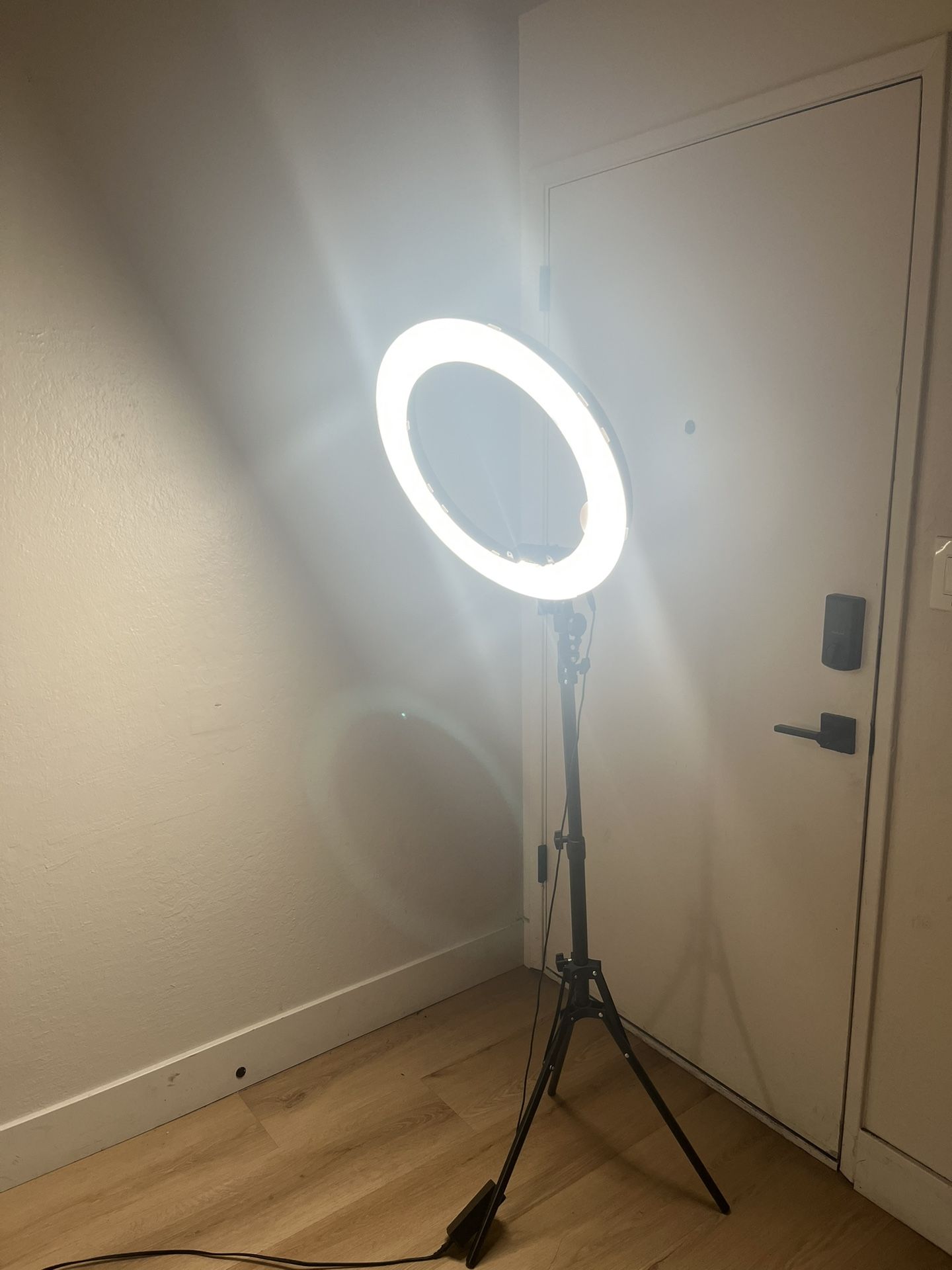 Big Ring Light