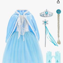 Elsa Costume, Brand New