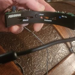 Fishman Acoustic Guitar Pickup System