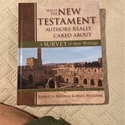 What The New Testament Authors Really Cared About