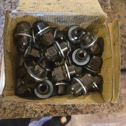 Toyota Lugnuts