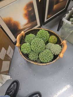 Decorative plant decorations