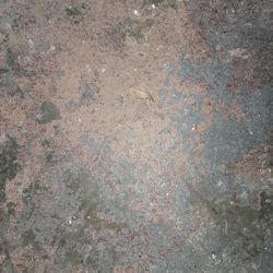 Two Hoverboards Bluetooth Lights Up