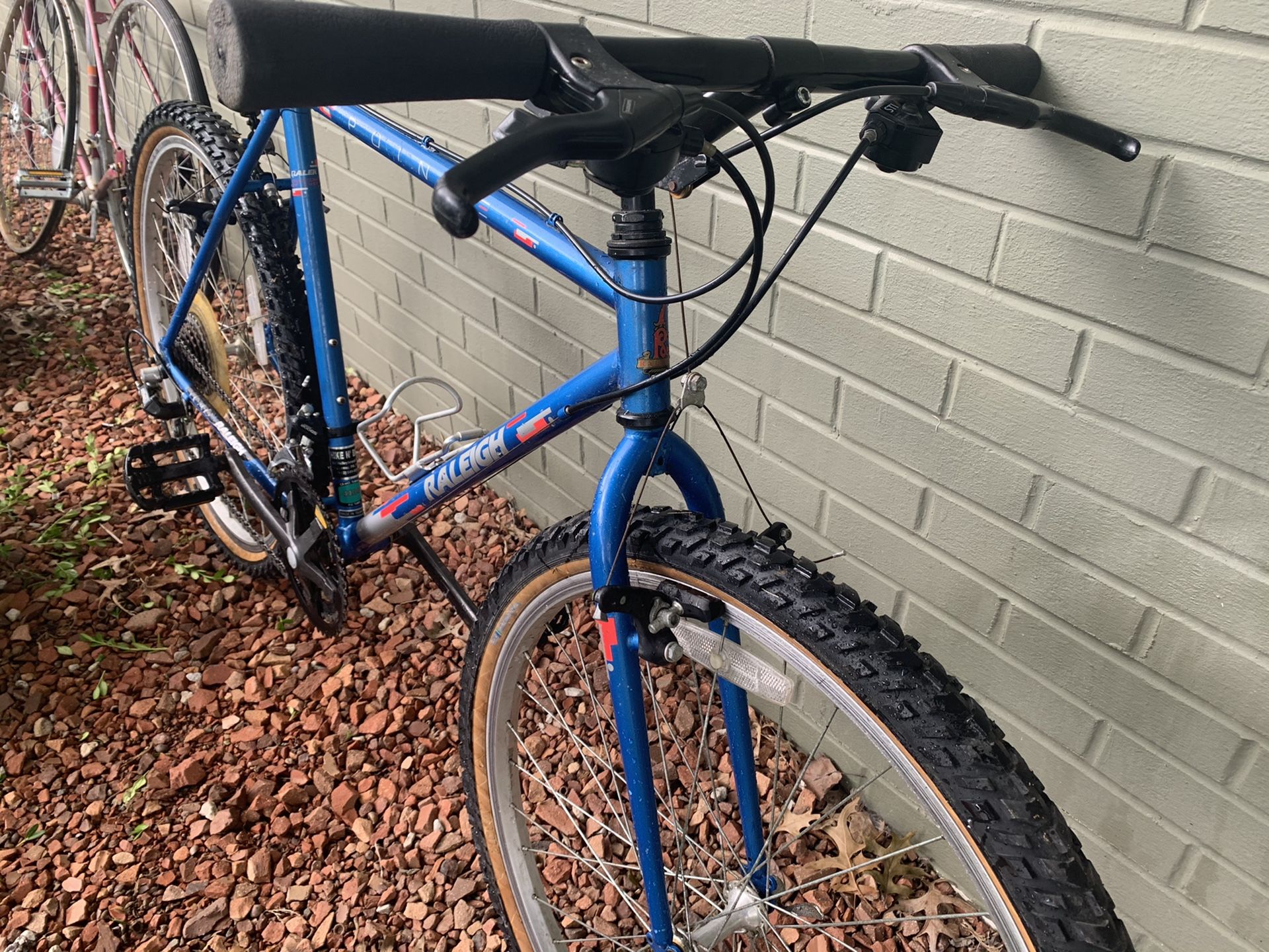Raleigh Pointe Mountain Bike