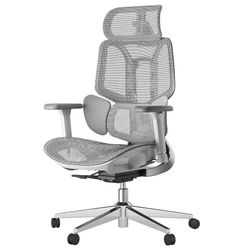 Hbada E3 Air Ergonomic Office Chair, Big and Tall Office Chair - with 3-Zone Dynamic Lumbar Support, 3D Adjustable Headrest, 3D Adjustable Armrests, S