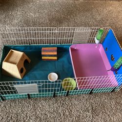 Guinea Pig Habitat