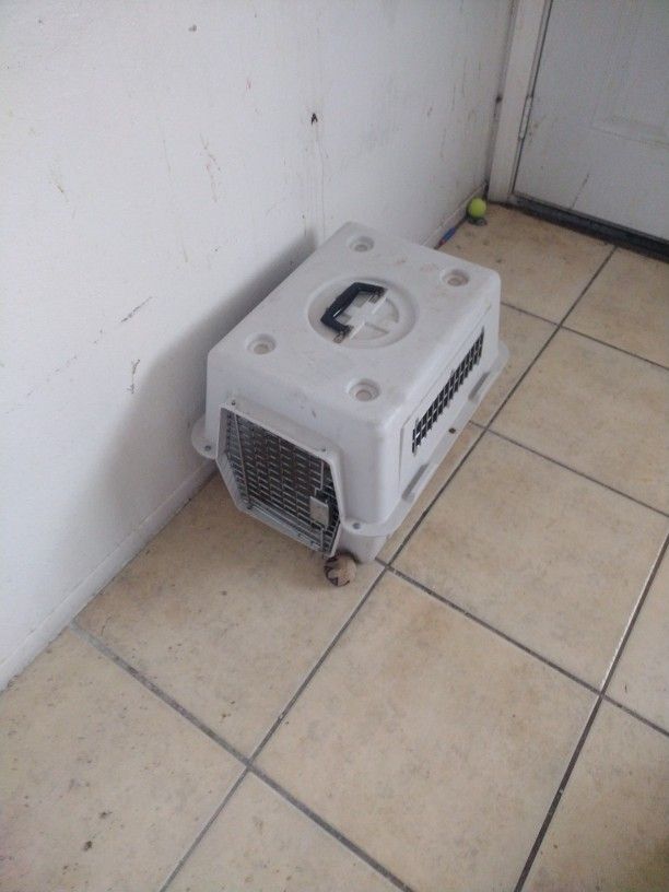 Pet safe Pet Carrier 