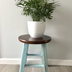 Wood Plant 🪴 Stand H 15.5/W12 $15