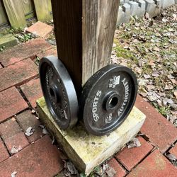 2x25 Lb Weight Plates